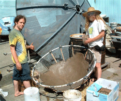 Cob Cooker Thumbs up